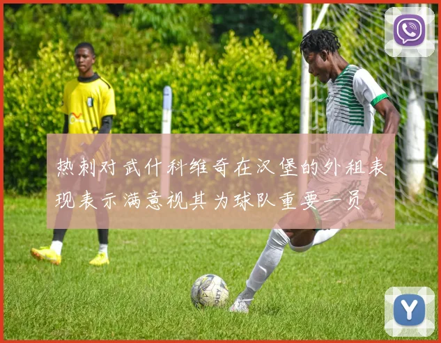 热刺对武什科维奇在汉堡的外租表现表示满意视其为球队重要一员